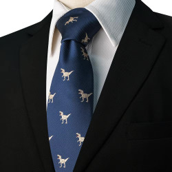 SET Dinosaur T-Rex Kravata | Kapesníček | Manžetové knoflíčky